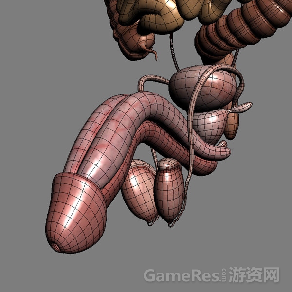 095_wire.jpg