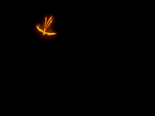 7.gif