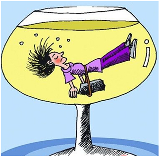 QQ图片20150603131521.png