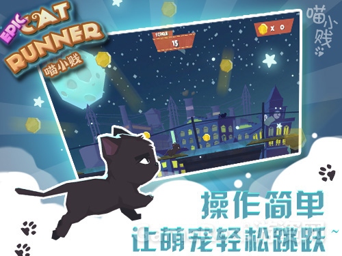 图二：喵小贱.jpg