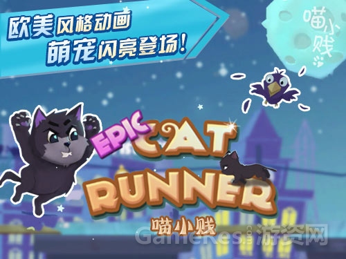 图1：喵小贱.jpg