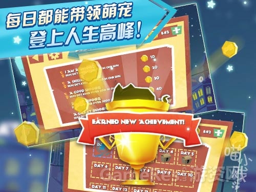 图4：喵小贱.jpg