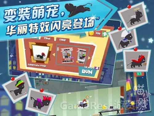 喵小贱