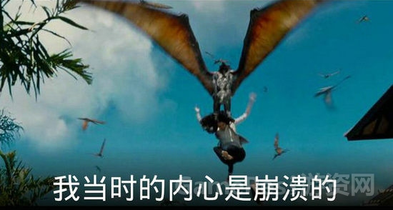 图片5.jpg