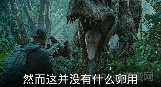 图片9.jpg