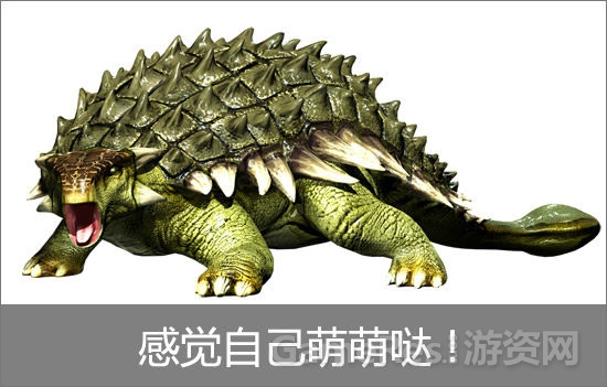 图片10.jpg