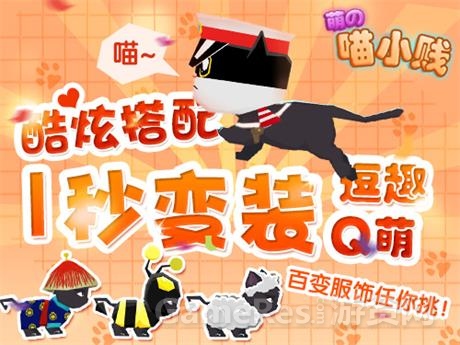 喵小贱6.jpg