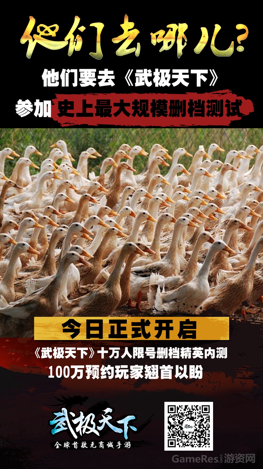 haibao（大规模去哪儿）7.jpg