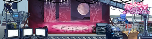 图03 黑白天鹅.jpg