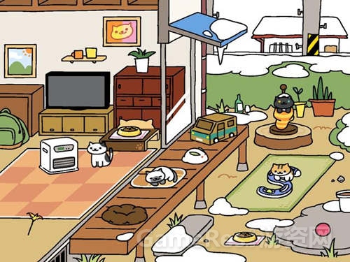图5 猫咪后院.jpg