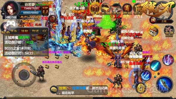 T1.jpg
