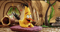 5.gif