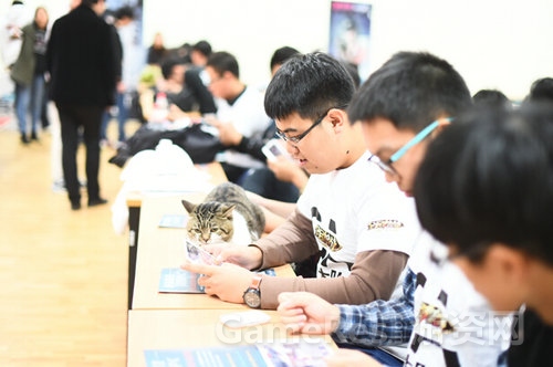 图4：北大“学霸猫”也来观战了！.jpg