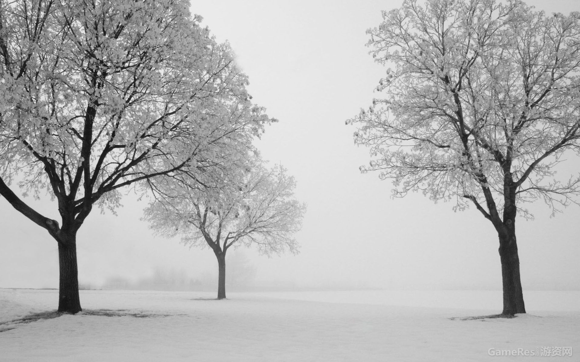 20130128232025_X2Zsn.jpg
