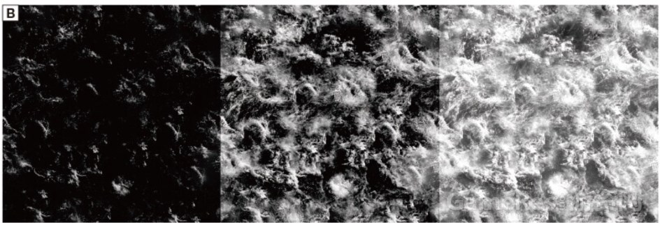 image110.jpg