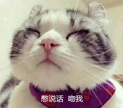 图1.jpg