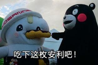 图片2.jpg