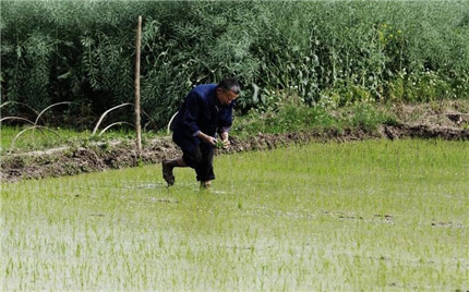 图2.jpg