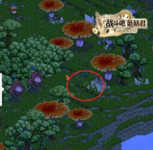 图3.jpg