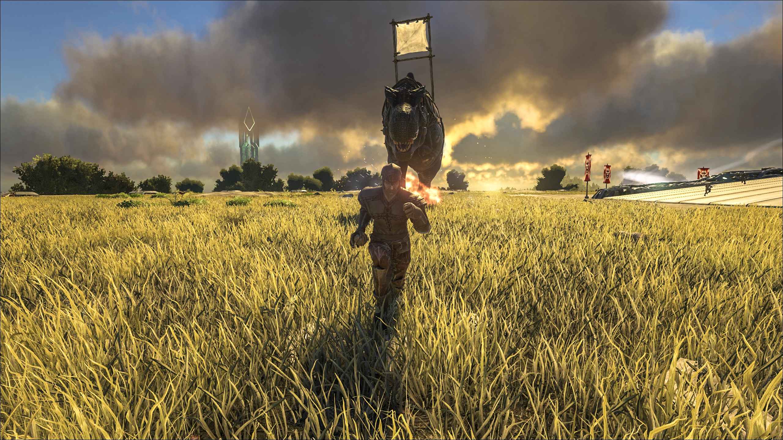 02.jpg
