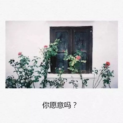 图四.jpg