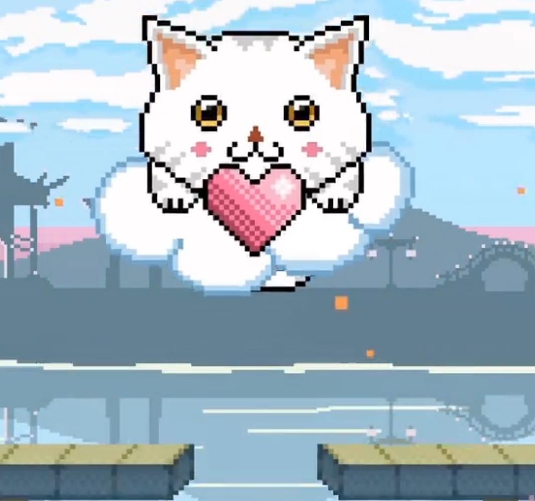 猫咪1.jpg