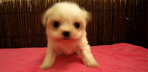 配图1.gif