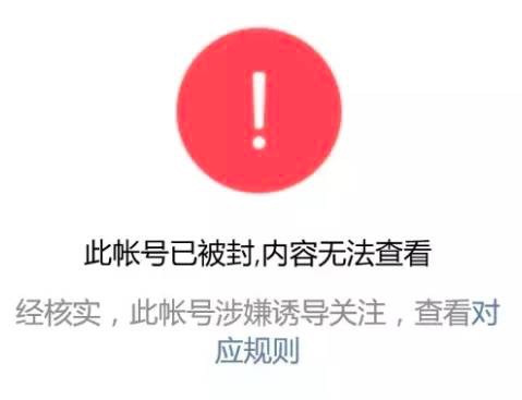 5 - 副本.jpg