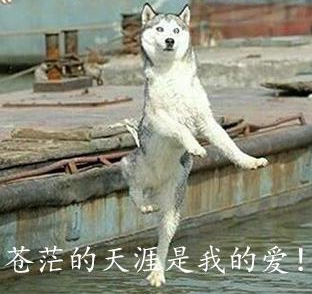 配图1.jpg