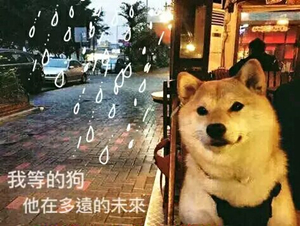 配图1.jpg