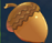 1483440313(1).png