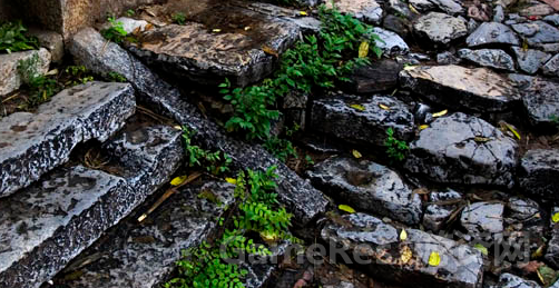 image036.png