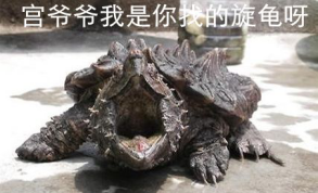 image004.png
