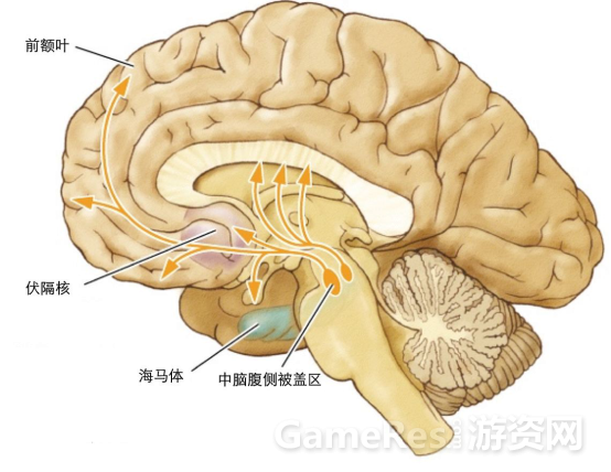 電擊都治不了：遊戲成癮機制探祕