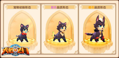 图5：幽冥四眼猫.jpg
