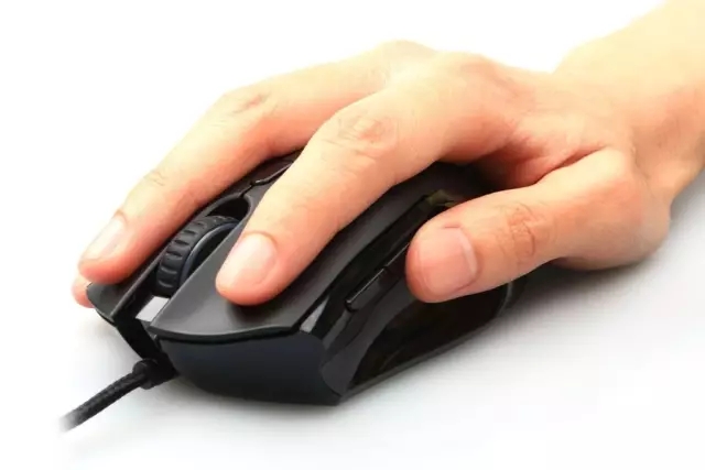 640.webp.jpg