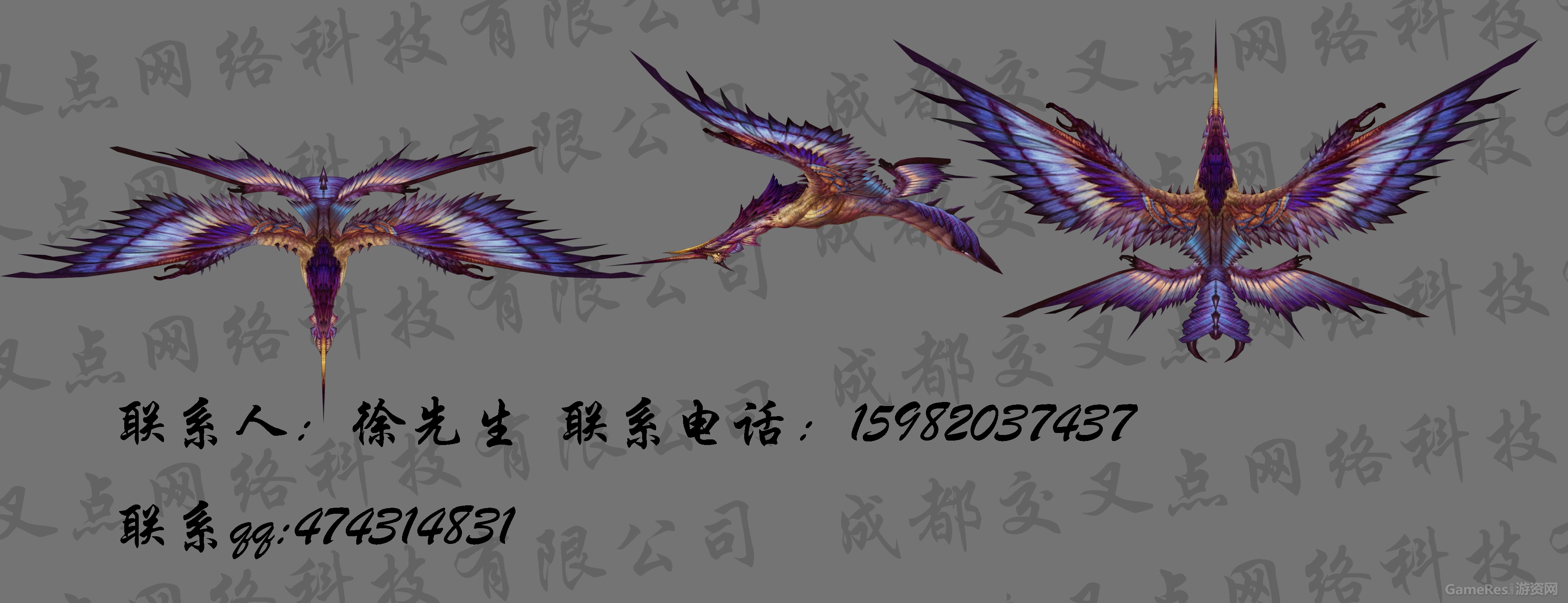 飞行.jpg