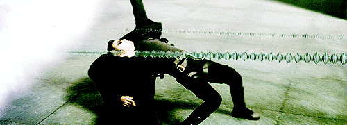 204.gif
