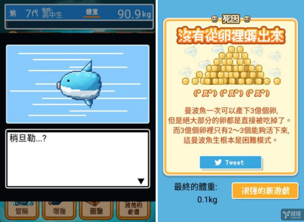 63.png