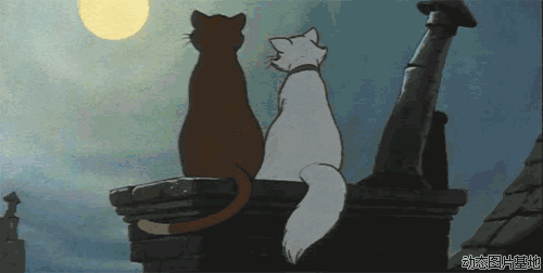 9.gif