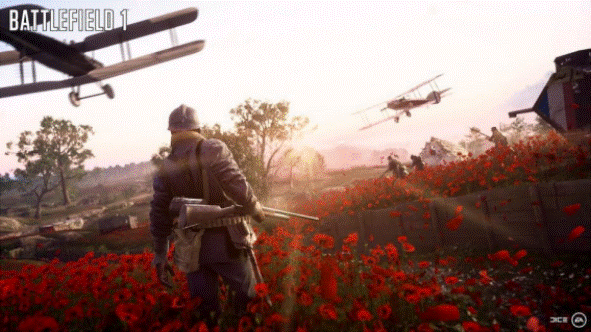 image006.gif