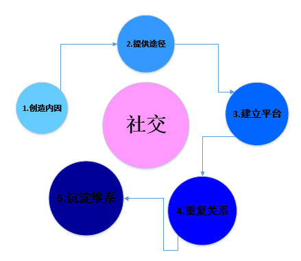 插图15.社交循环步骤.png