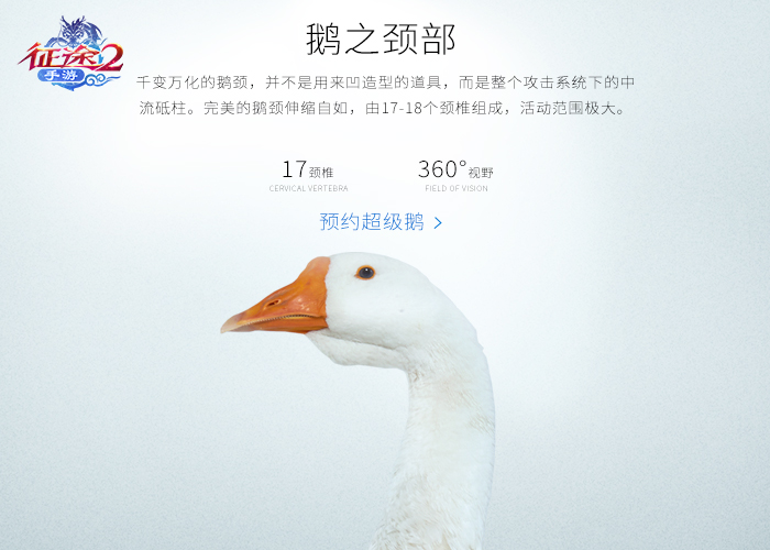 图4.jpg