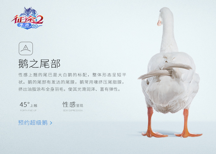 图7.jpg