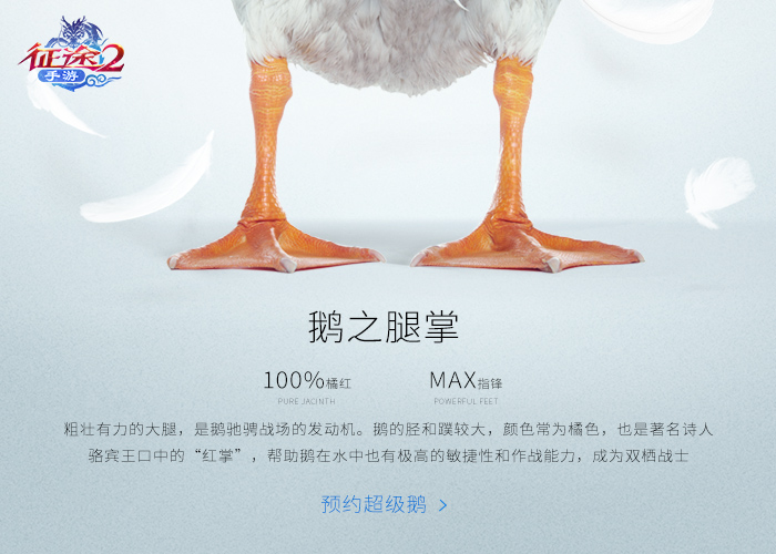 图8.jpg