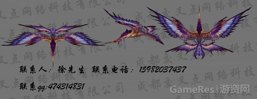 飞行.jpg