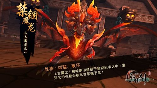 图3.jpg
