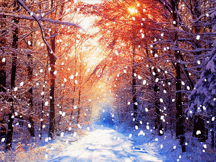 image001.gif