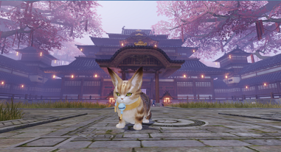 图9 坐骑-沙猫.png