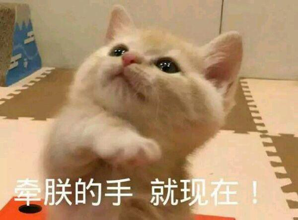 图片3.png
